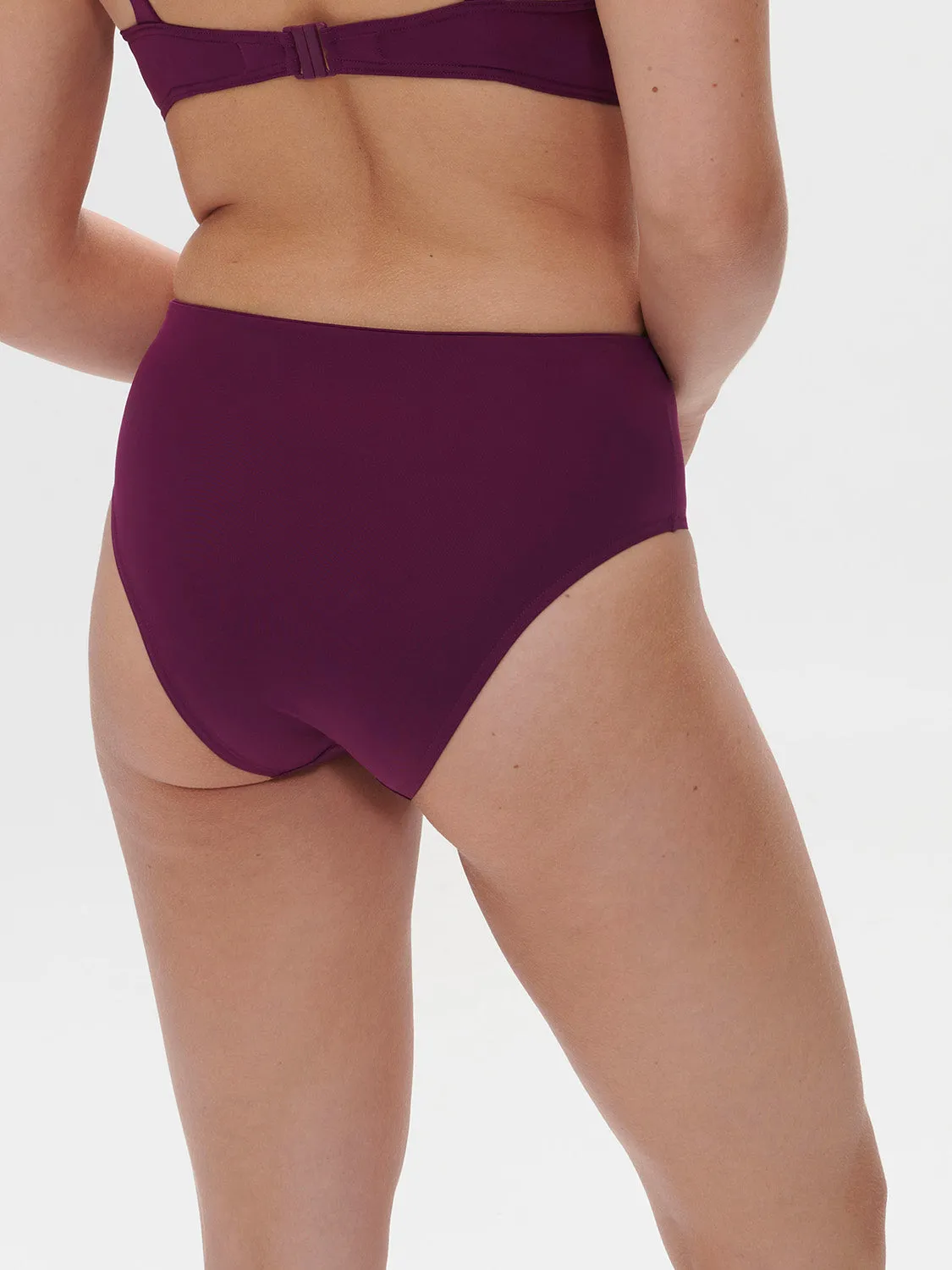 Hoya Retro Brief - Blackberry