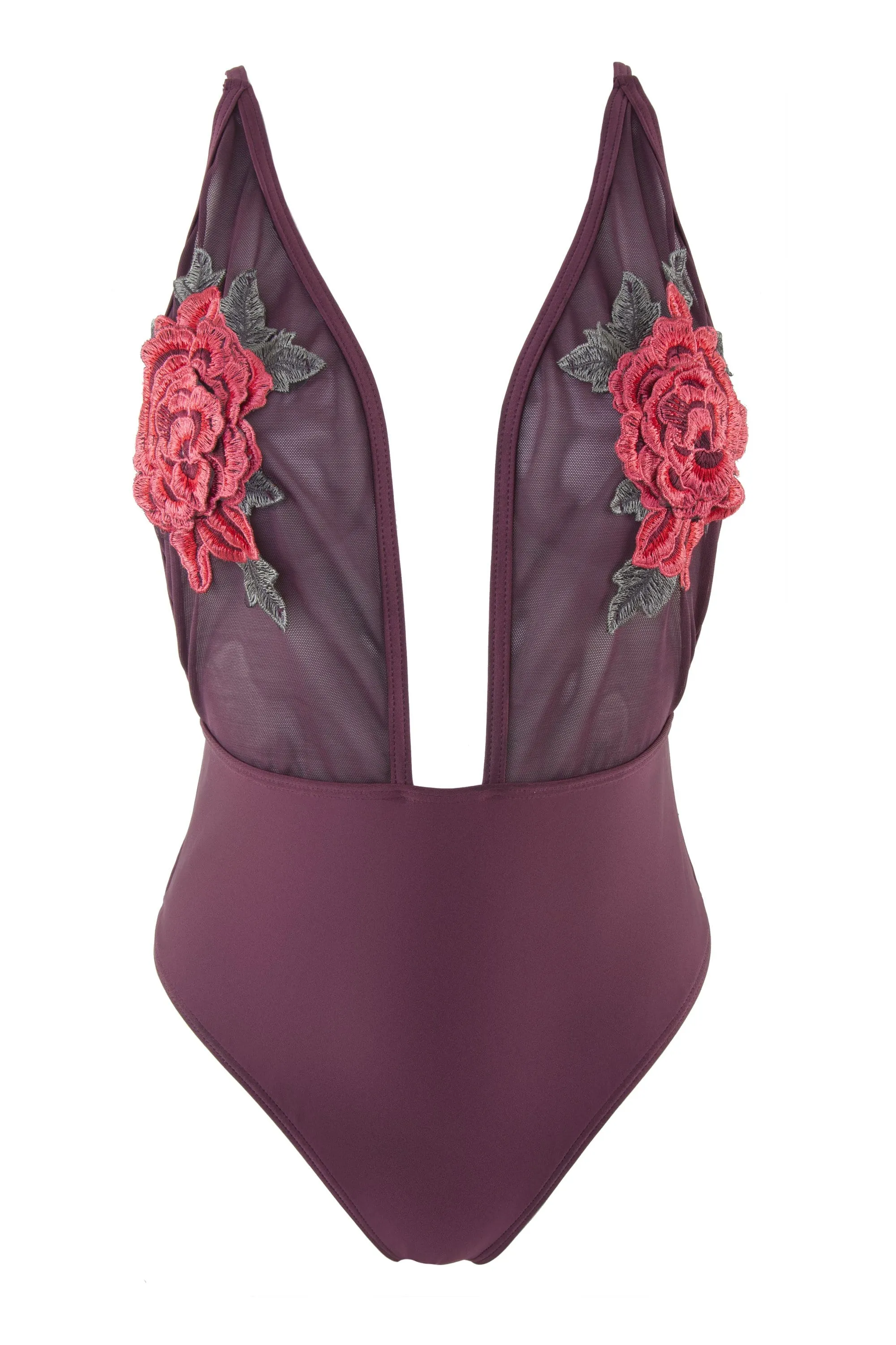 Peek & Beau Applique & Mesh Plunge Swimsuit
